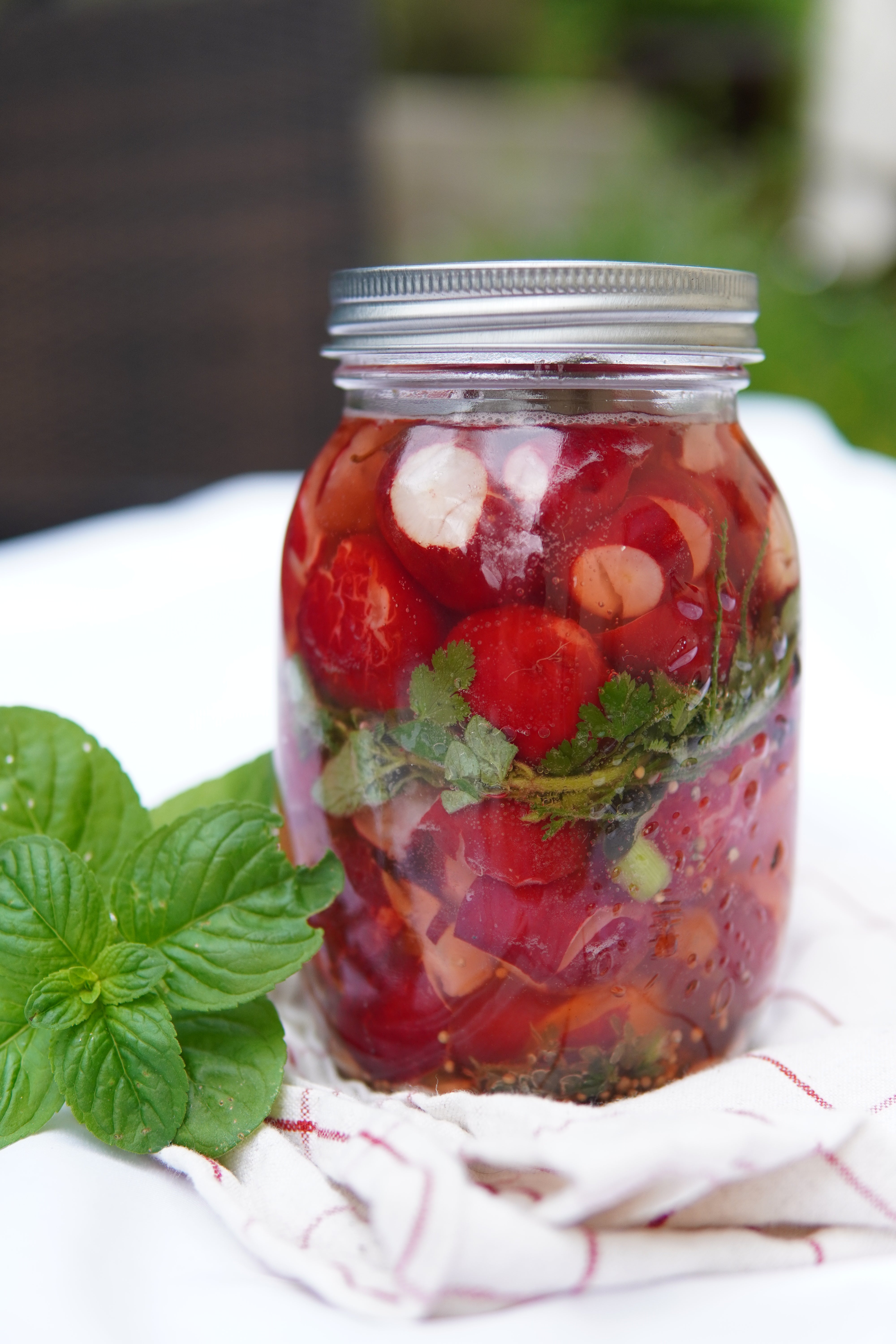 EINGELEGTER SMASHED RADIESCHENSALAT – Gesund, knackig und einfach selbstmachen