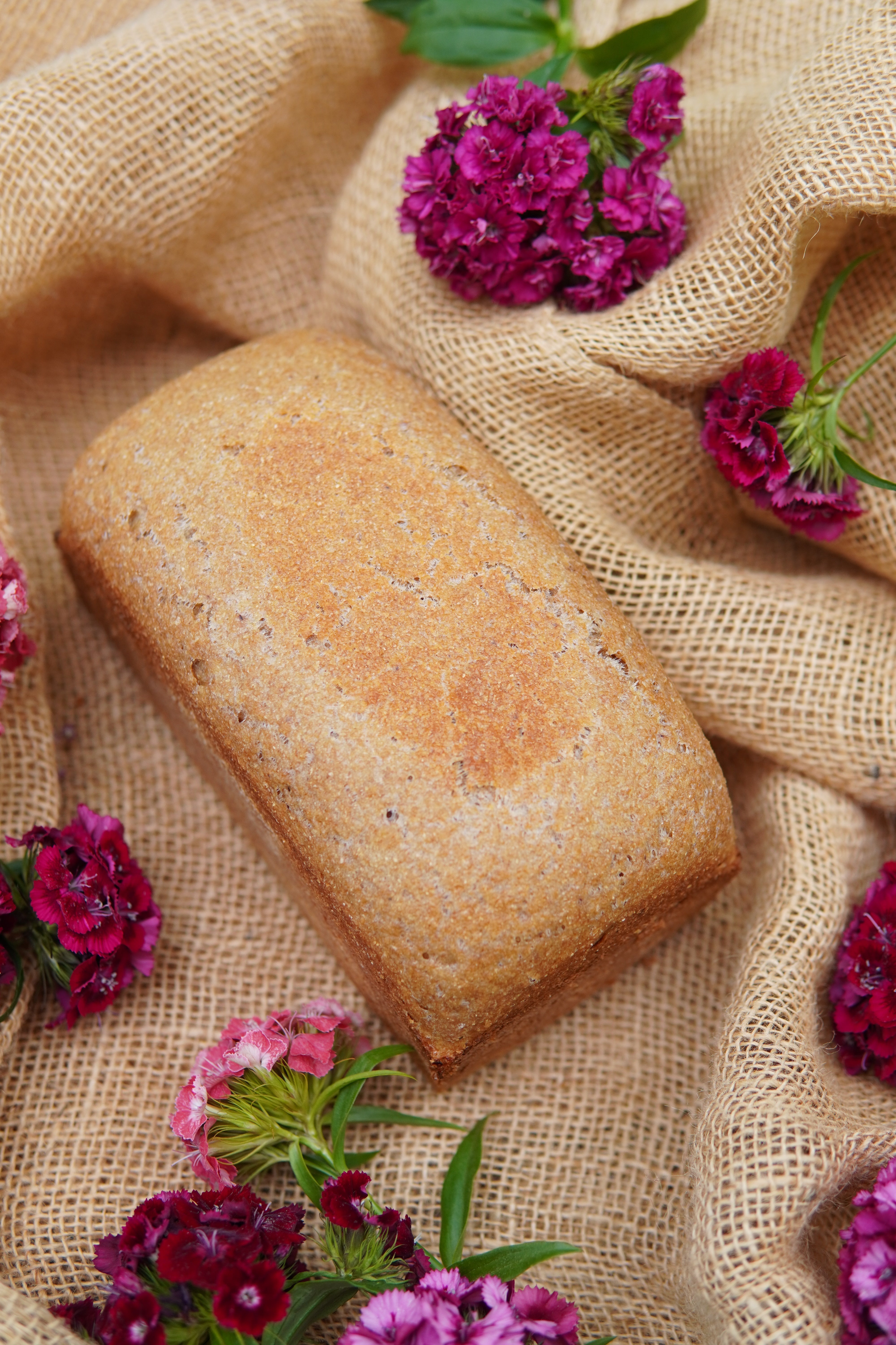 VOLLWERTIGES MILCHKEFIR-TOASTBROT – SAFTIG, GESUND & EINFACH SELBER BACKEN