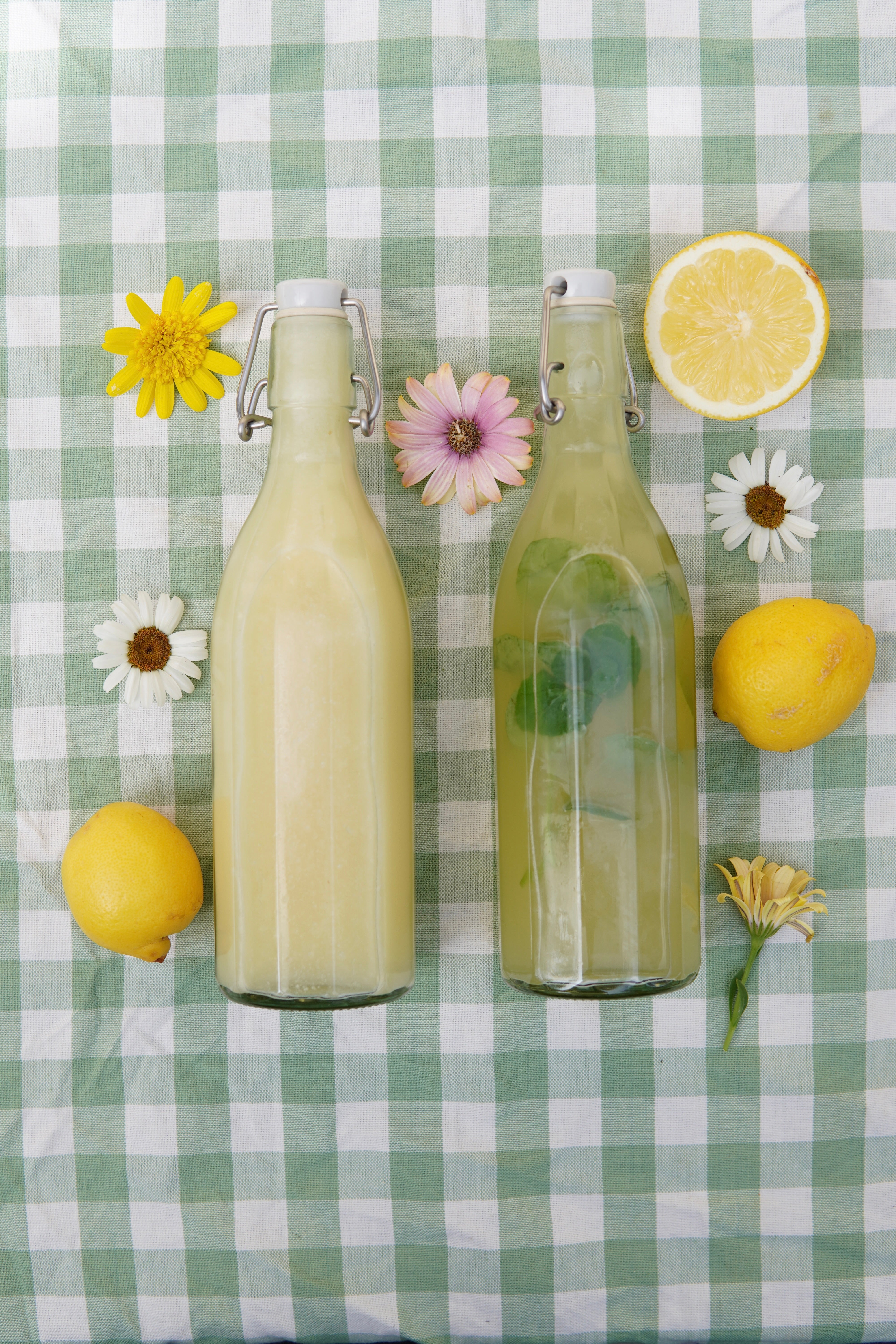 Sommerspezial Bundle- Die neue traditionelle Ernährung