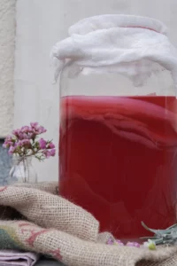 Kombucha